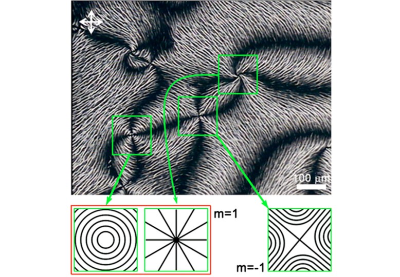 Direct Image of a Molecular Orientation of a Liquid Crystal using Directional Polymerization of Photoreactive Mesogen