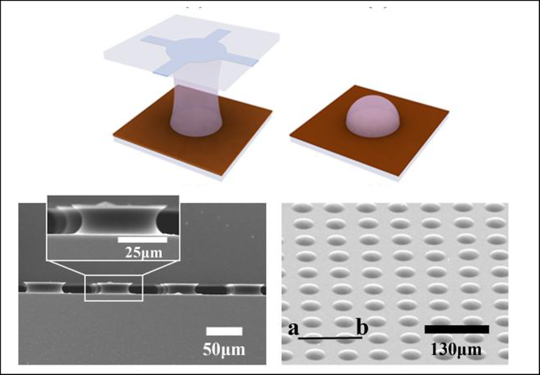Microlens Array Fabricated using Electrohydrodynamic Instability and Surface Properties
