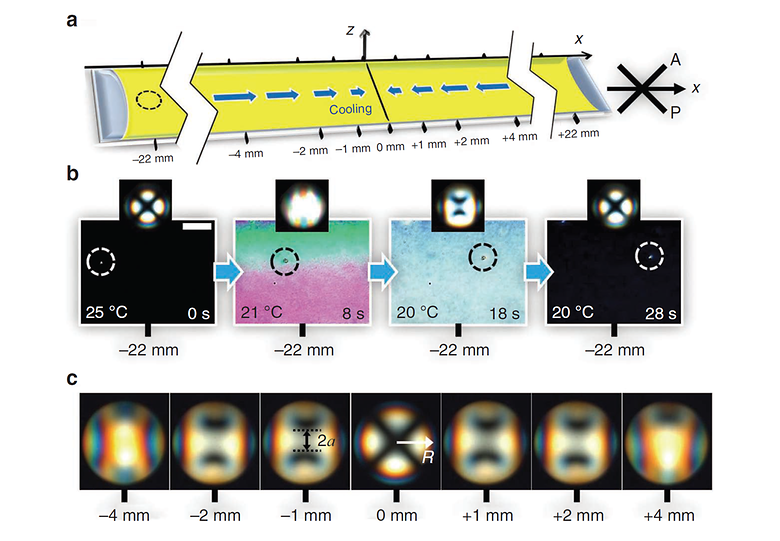 Molecular Reorientation of a Nematic Liquid Crystal by Thermal Expansion