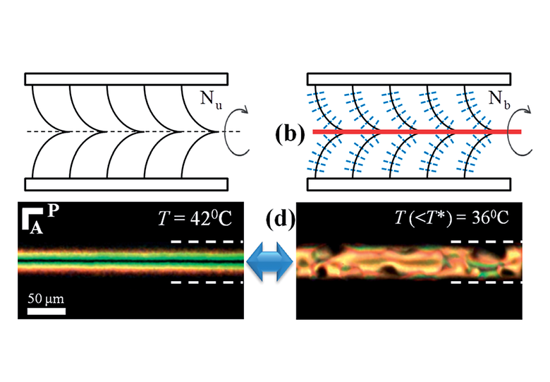 Surface Alignment, Anchoring Transitions, Optical Properties and Topological Defects in the Thermotropic Nematic Phase of an Organo-Siloxane Tetrapodes