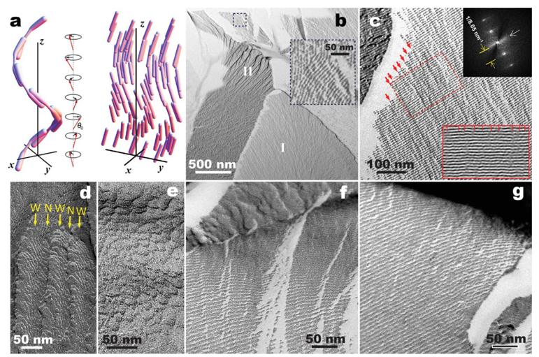 Direct Observation of Liquid Crystals using Cryo‐TEM: Specimen Preparation and Low‐Dose Imaging