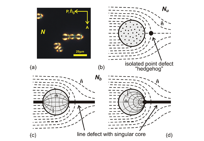 Surface Alignment, Anchoring Transitions, Optical Properties and Topological Defects in Nematic Bent-Core Materials C7 and C12
