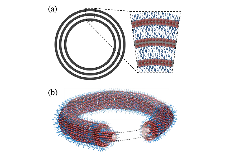 Experimental Insights into the Nanostructure of the Cores of Topological Defects in Liquid Crystals