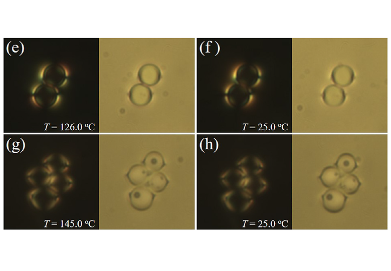 Search for Microscopic and Macroscopic Biaxiality in the Cybotactic Nematic Phase of New Oxadiazole Bent-Core Mesogens