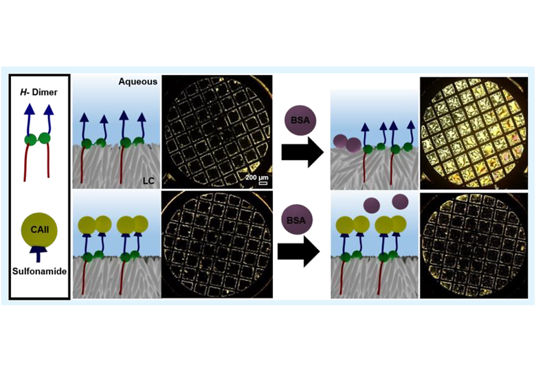 A New Strategy for Reporting Specific Protein Binding Events at Aqueous-Liquid Crystal Interfaces in the Presence of Non-Specific Proteins