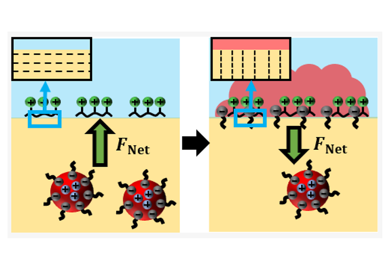 Interfacial Polyelectrolyte-Surfactant Complexes Regulate Escape of Microdroplets Elastically Trapped in Thermotropic Liquid Crystals