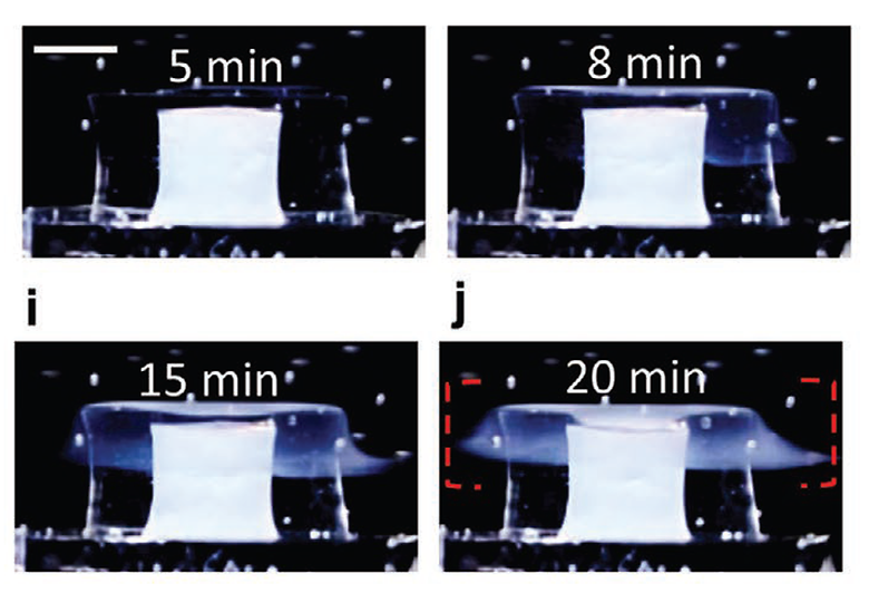 Stimulit-Responsive Liquid Crystal Printheads for Spatial and Temporal Control of Polymerization