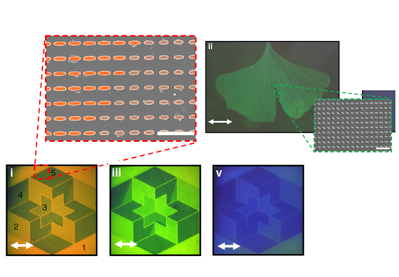 Liquid Crystal-Powered Mie Resonators for Electrically Tunable Photorealistic Color Gradients and Dark Blacks