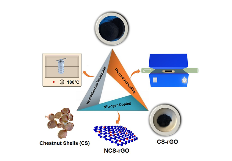 Scalable Production of Reduced Graphene Oxide via Biowaste Valorisation: An Efficient Oxygen Reduction Reaction towards Metal-Free Electrocatalysis