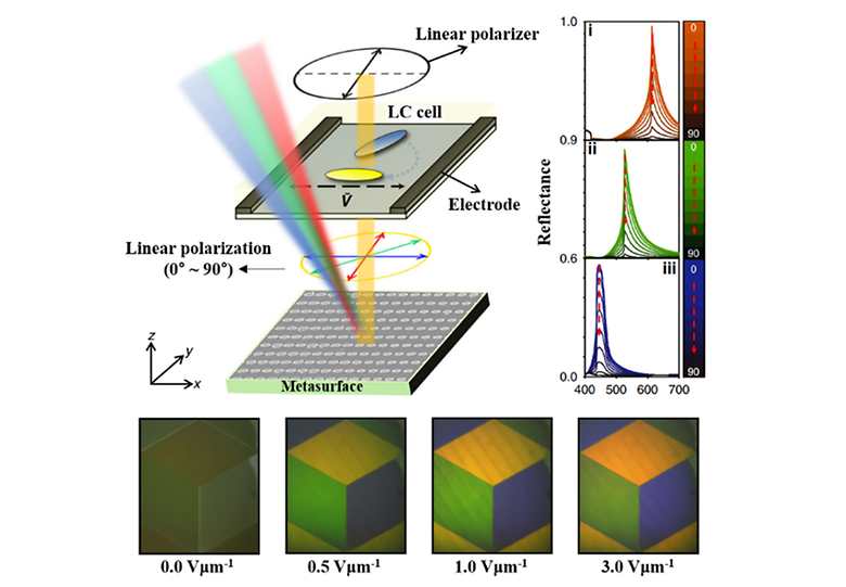 Stimuli-Responsive Materials from Liquid Crystals