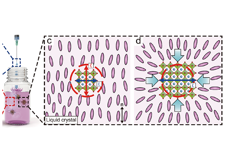 Controlled Synthesis of Perovskite Nanocrystals at Room Temperature by Liquid Crystalline Templates