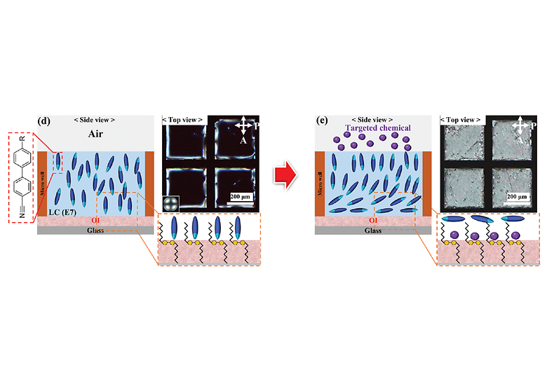 Tailoring of Selective Chemo-Responsiveness in Liquid Crystals via Organic Ionic Plastic Crystals