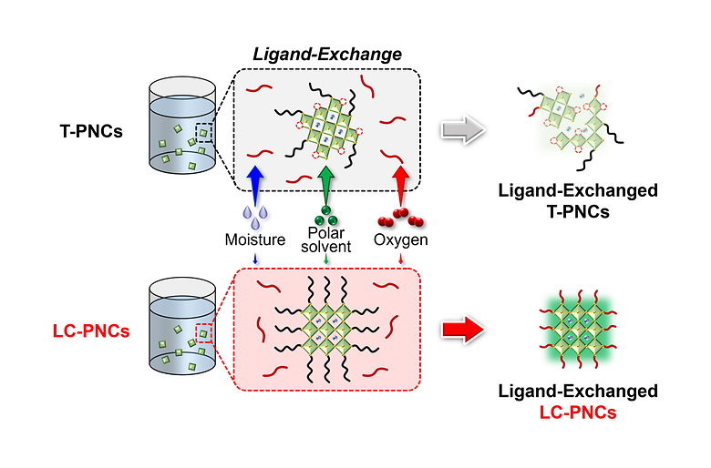 Efficient and Stable Ligand-Exchange Process using CsPbBr3 Perovskite Nanocrystals Synthesized from a Liquid Crystalline